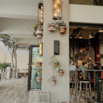 Dry Rocks Tequila Bar