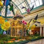 Bellagio Conservatory & Botanical Gardens