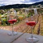 Temecula Wineries