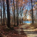 Lincoln Woods State Park