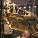 Natural History Museum of Utah