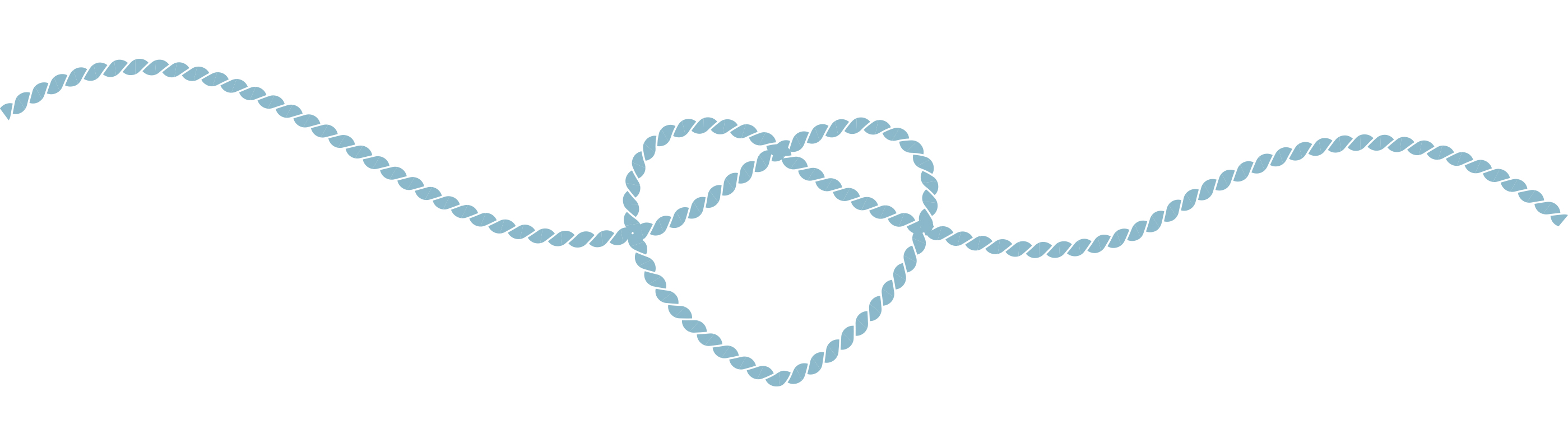The Wedding Website of Dominique Salloum and David Pullen
