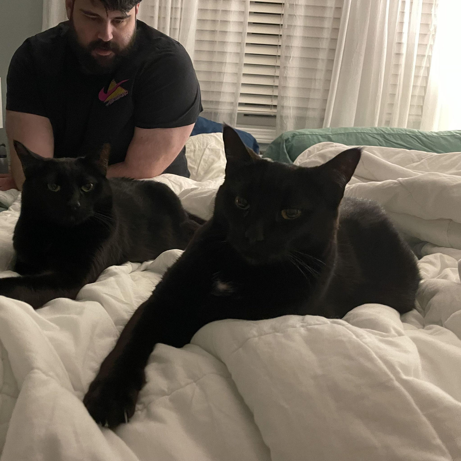 Now they're "our boys."
