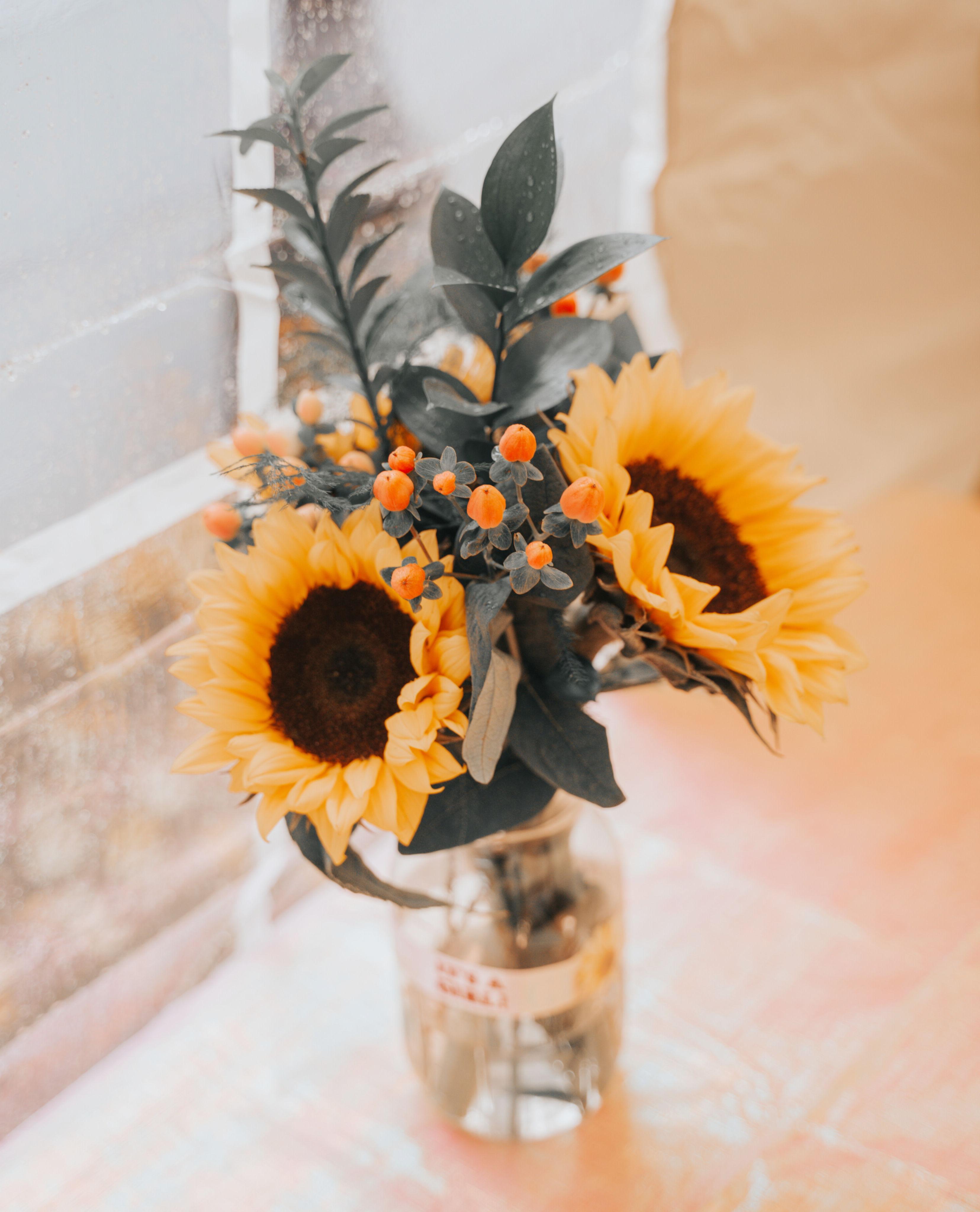 The Wedding Website of Gustavo Sandoval and Megan Ferrante