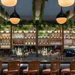 Sadelle's Coconut Grove