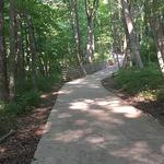 Effingham TREC Trail