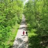 Oak Leaf Trail