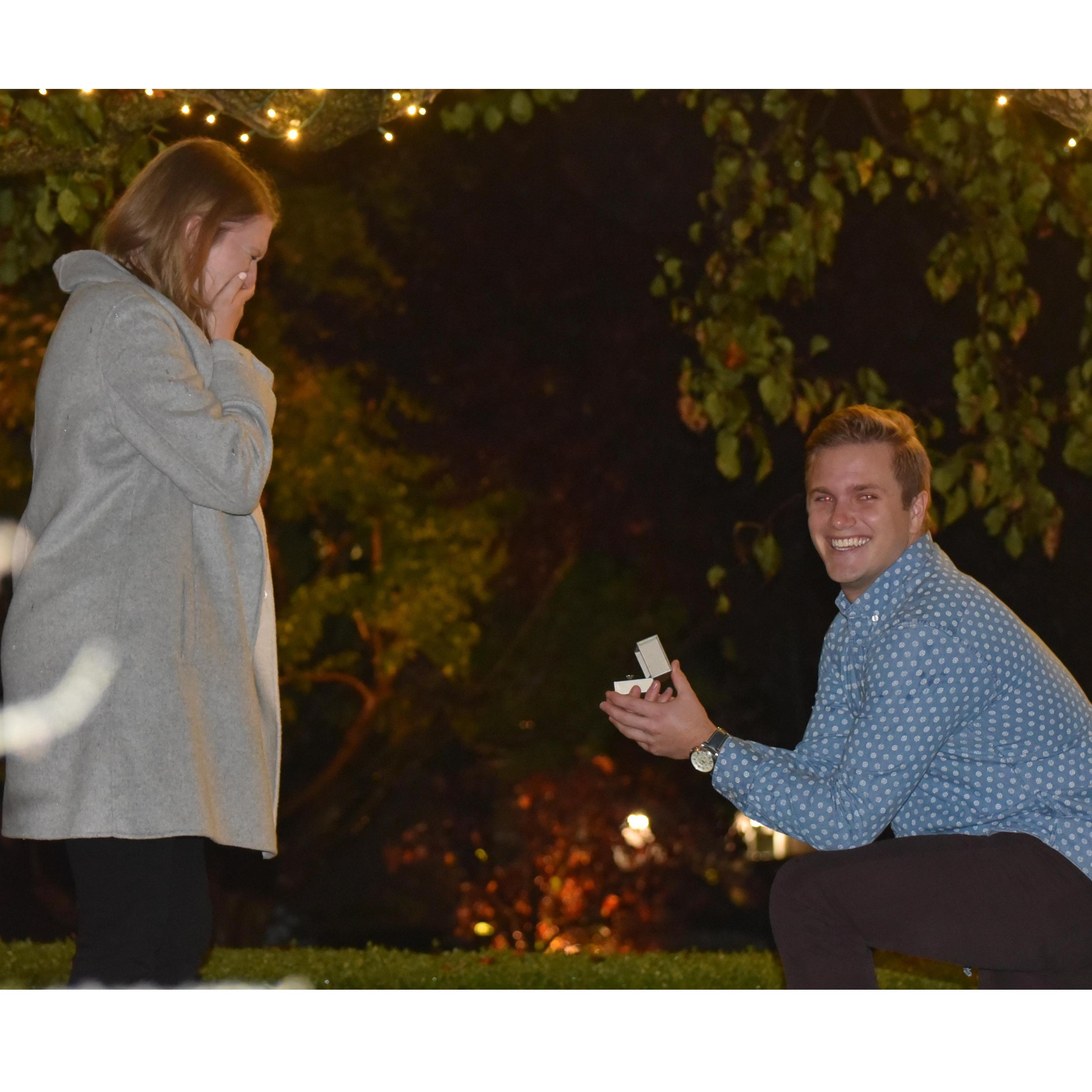The moment Parker proposed, November 2018