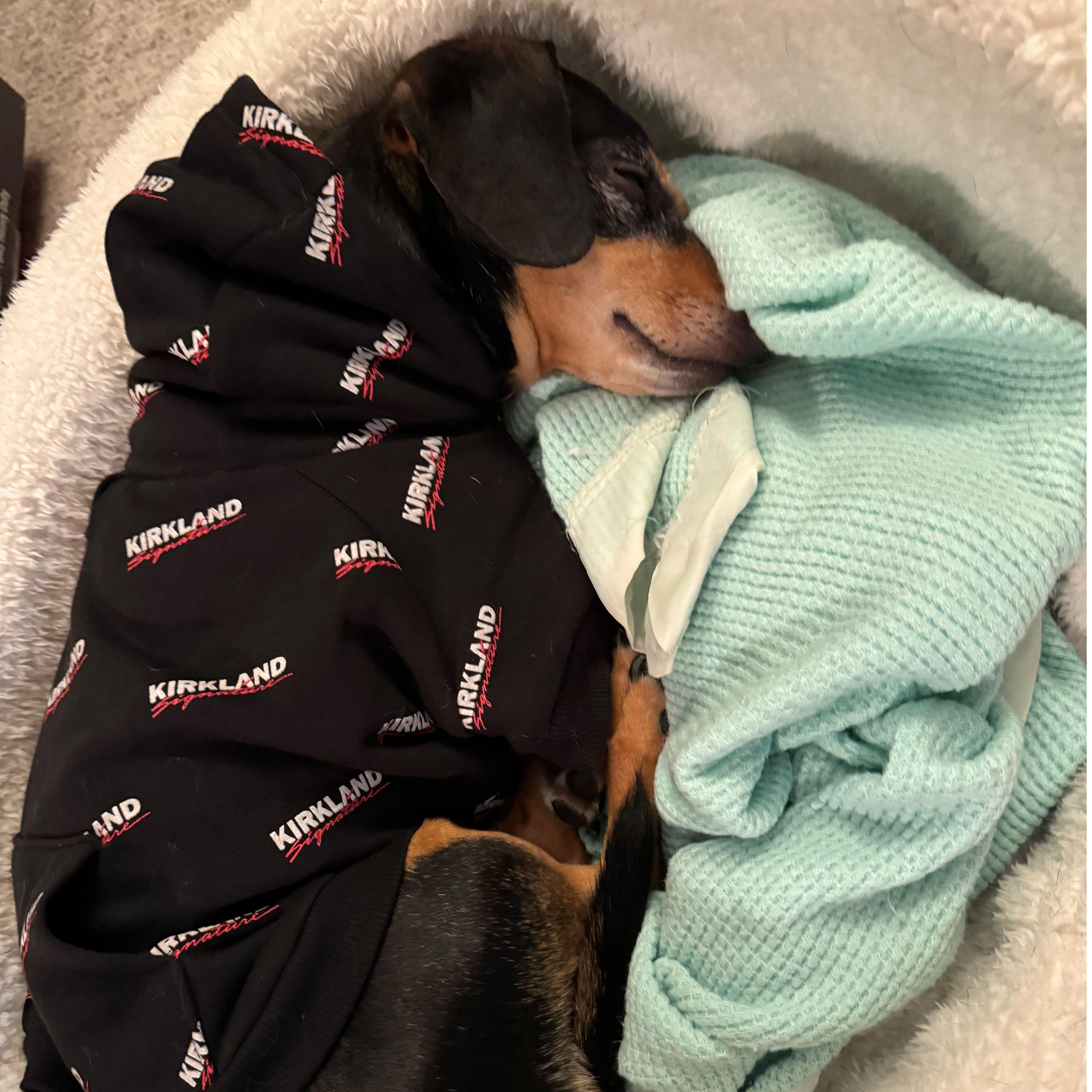 Donut is a Costco club member