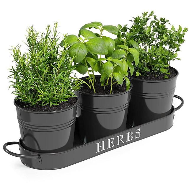 Barnyard Designs Farmhouse Herb Garden Planter Indoor Planter Set with Tray or Outdoor Apartment Window Planter Box, Windowsill Planter Box, Indoor Herb Planter Garden Pots Herb Pots, Black, Set/3