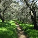 Hiking around Grass Valley