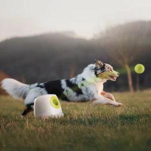 allforpaws Interactives Maxi Ball Launcher Dog Toy, White