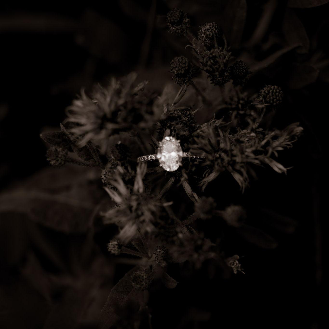A moment for the ring.