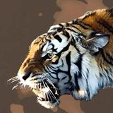 Texas Wildlife Park & Education Center