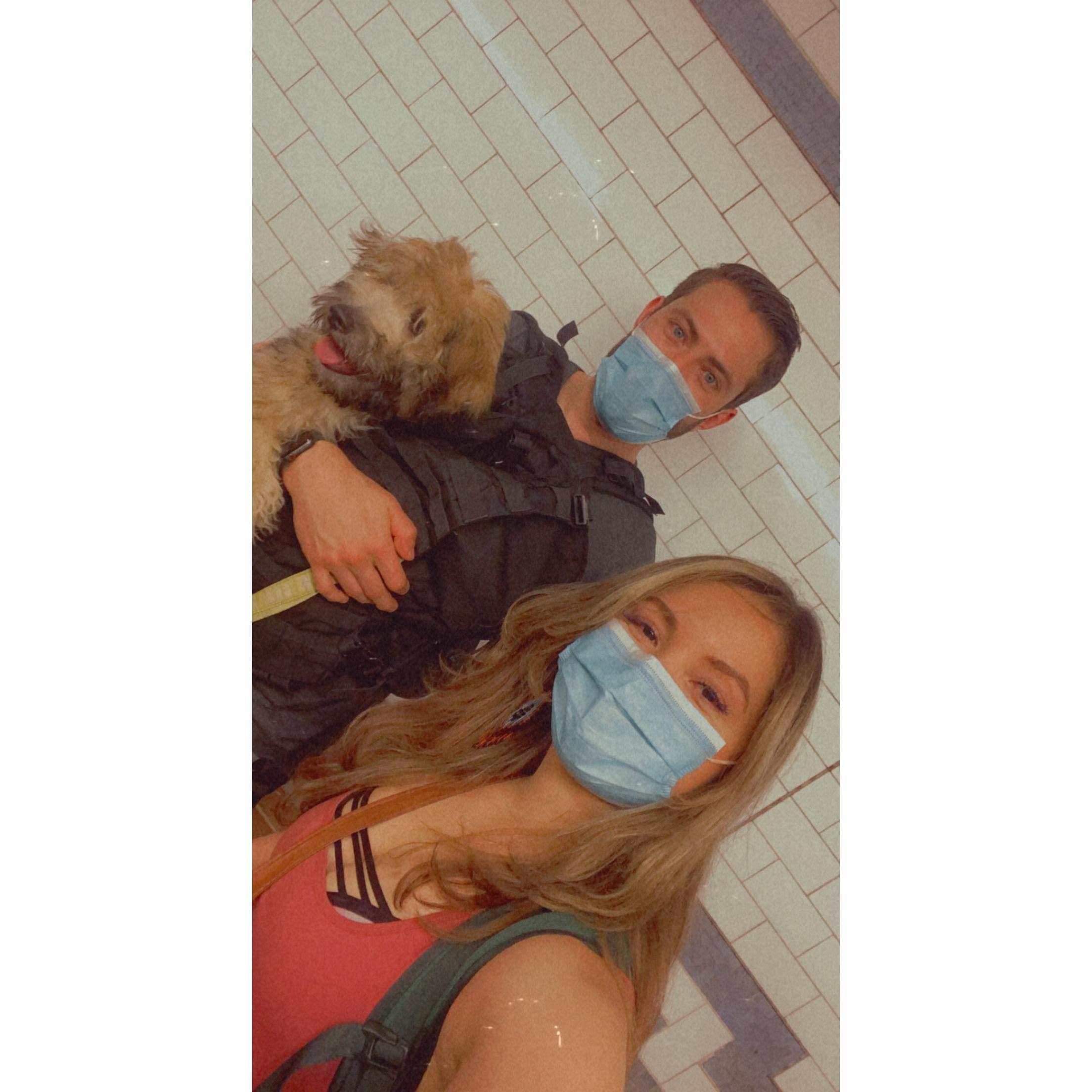Kuma's first trip to New York/subway experience