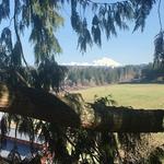 Canopy Tours NW - Zipline Tour