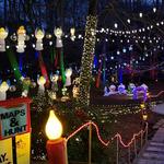 Covered Bridge Farms Christmas Lights