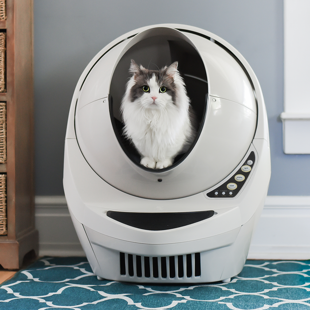 Litter-Robot 3 Connect - Black