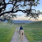 Vino Vaqueros Horseback Riding