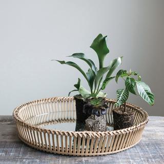 Collected Notions Decorative Rattan Mirror Tray