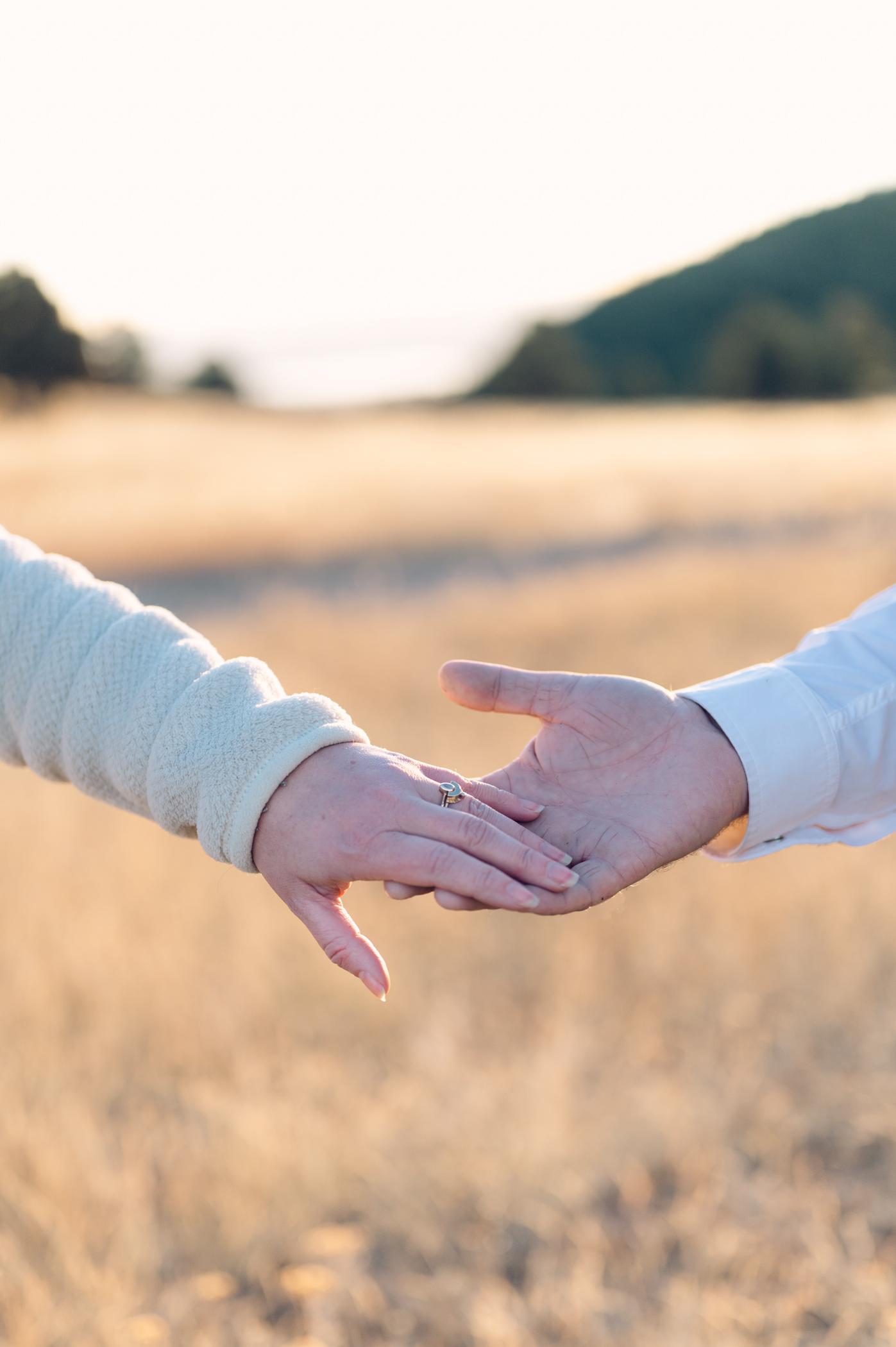 The Wedding Website of Aurora Owen and Clayton Carter