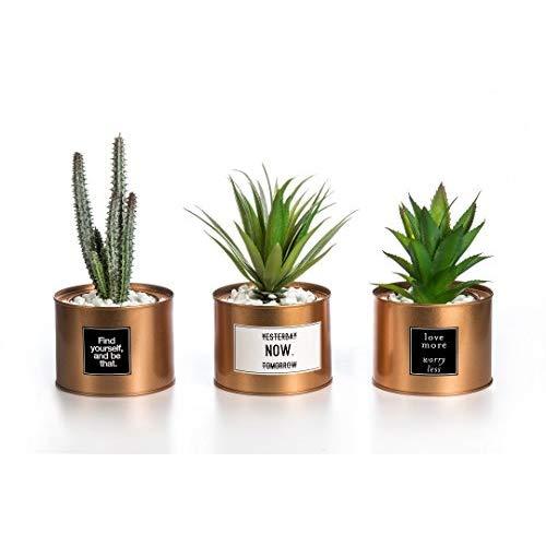 Opps Mini Artificial Plants Plastic Green Grass Cactus with Special Golden Can Pot Design for Home Décor – Set of 3