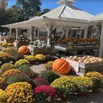 Harbes Mattituck Farmstand