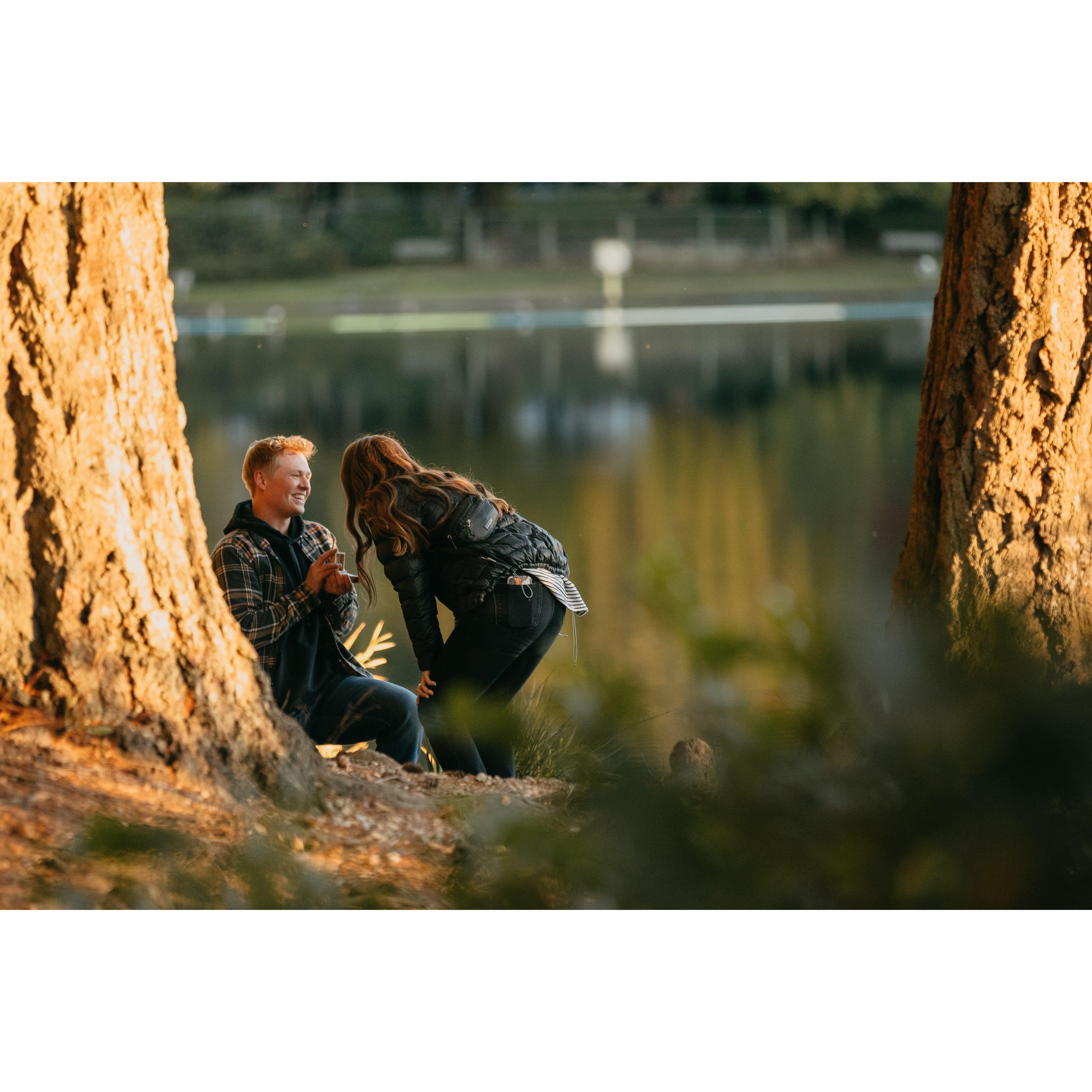 Engagement, Nov 6th 2024