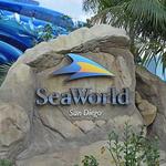 SeaWorld San Diego