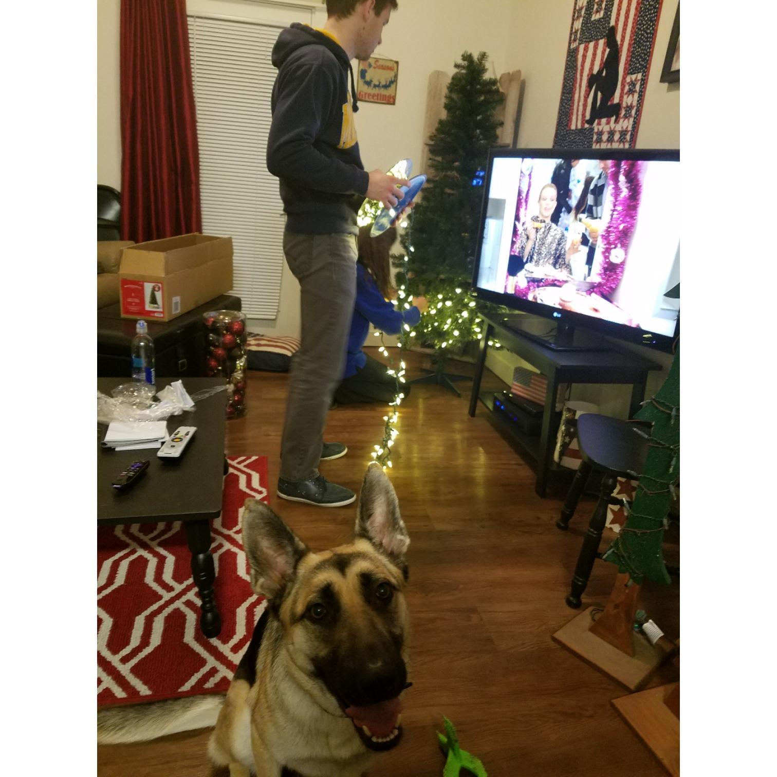 A photobomb from the pup while the lights go up on the tree.