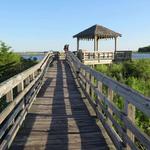 Marsh Walk