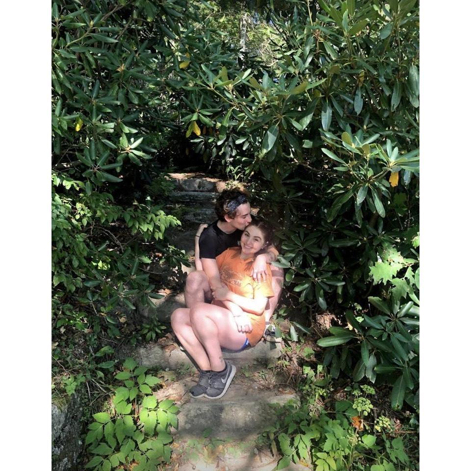 Take a hike 🌳