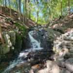 Falling Waters Preserve