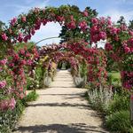 Planting Fields Arboretum State Historic Park