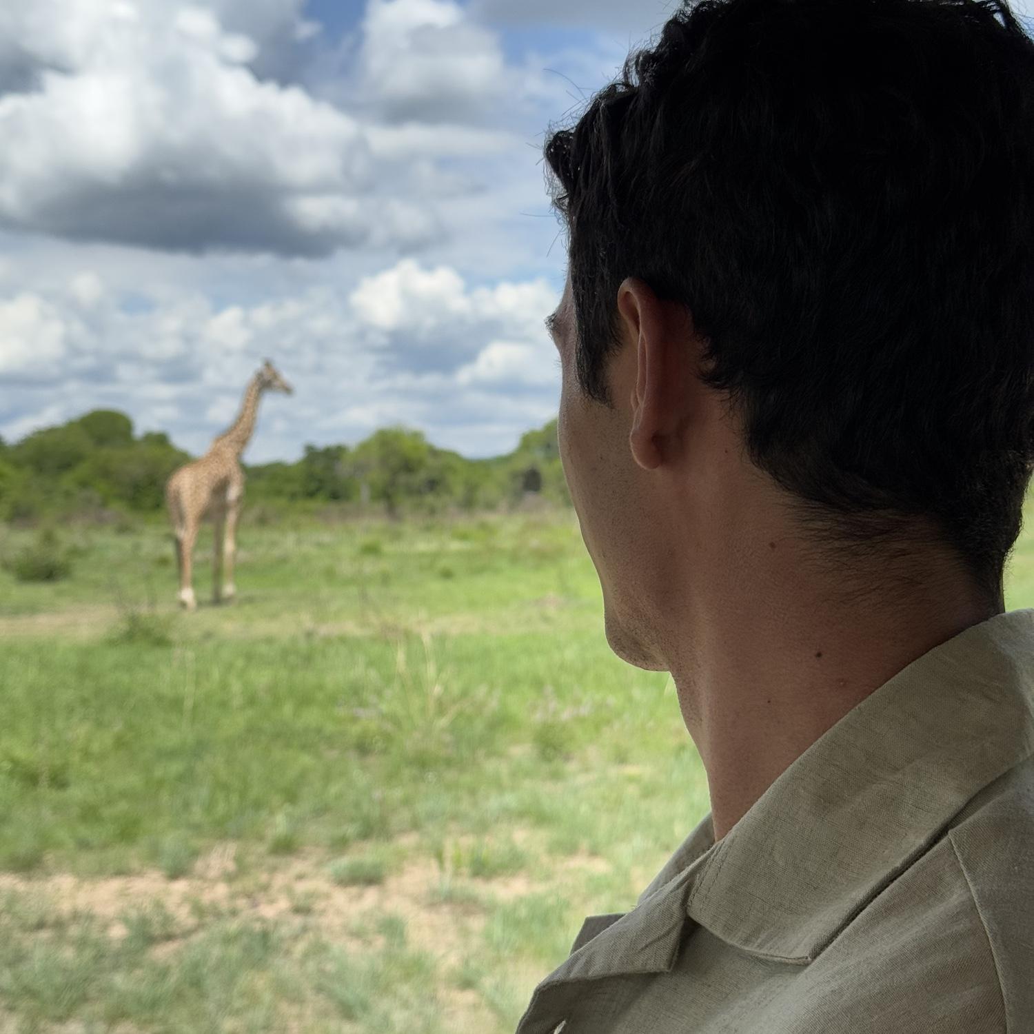 Mikumi National Park, Tanzania - December 2024