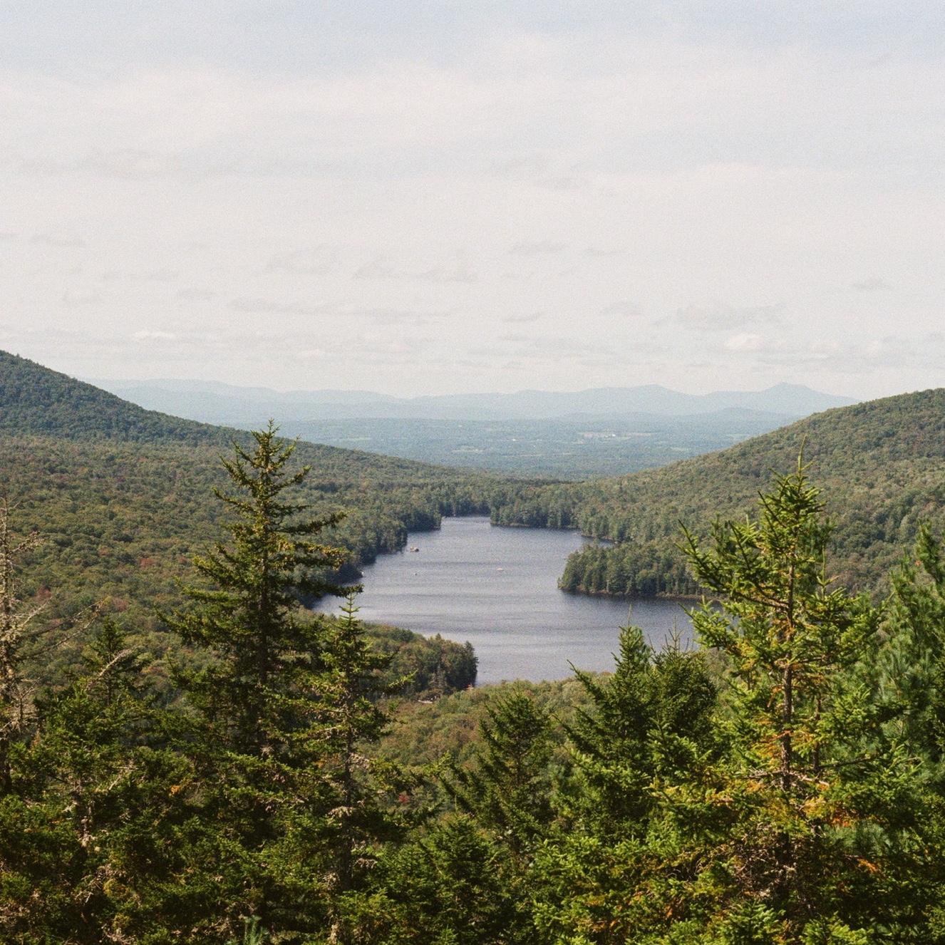 Owls Head on 35 mm