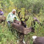 Running Reindeer Ranch