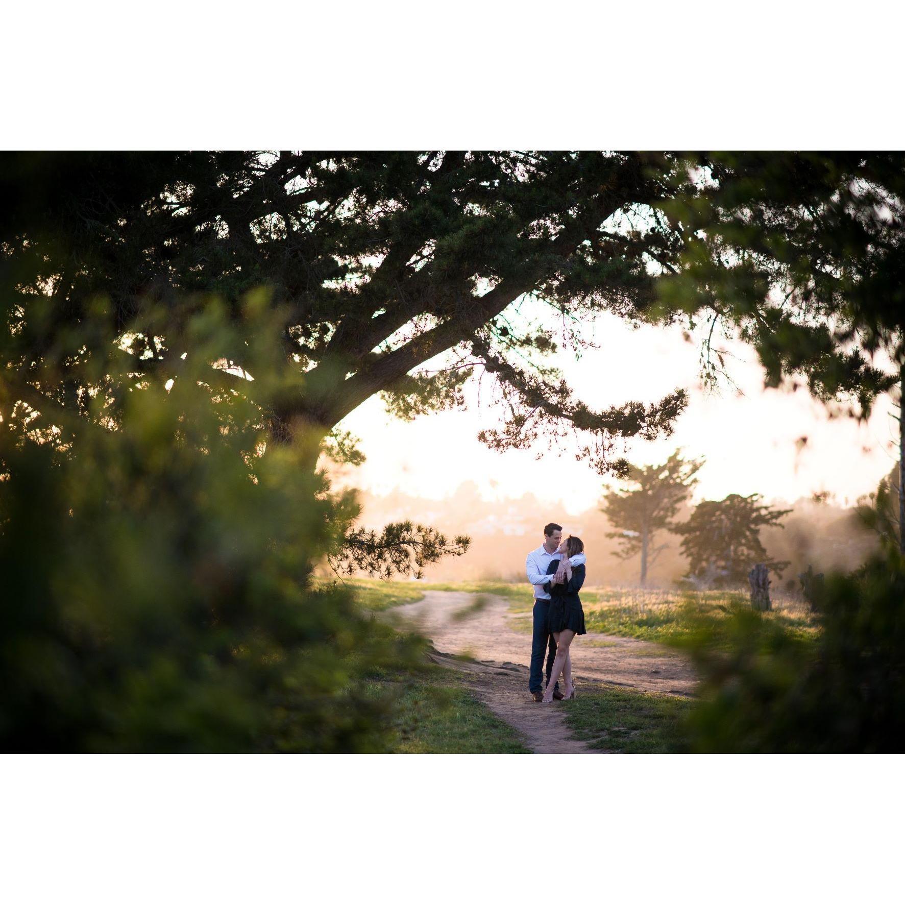 A sunset stroll through the park.
