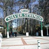 Silver Springs State Park