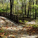 Flowing Well Park