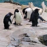 Detroit Zoo