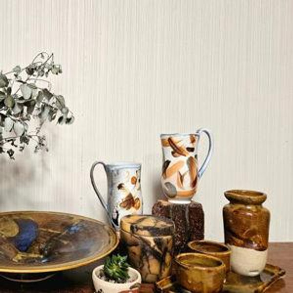 Funds to buy pottery plates/bowls/mugs from Holly!