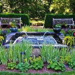 The Frelinghuysen Arboretum
