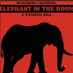 Elephant In the Room