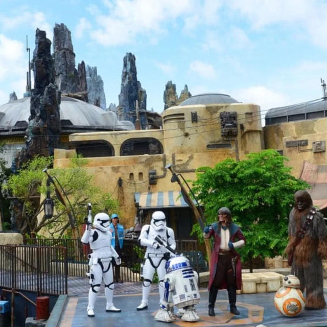 Honeymoon to Disney World!!