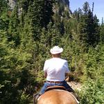 Three Peaks Outfitters - Horseback rides