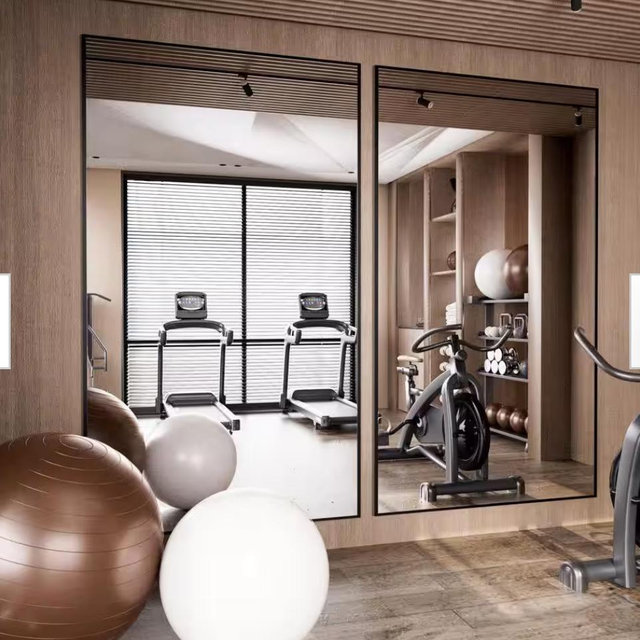 Home Gym Mirrors