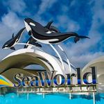 SeaWorld San Diego