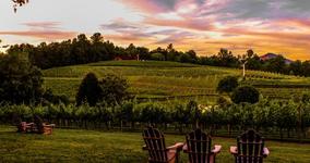 Crane Creek Vineyards