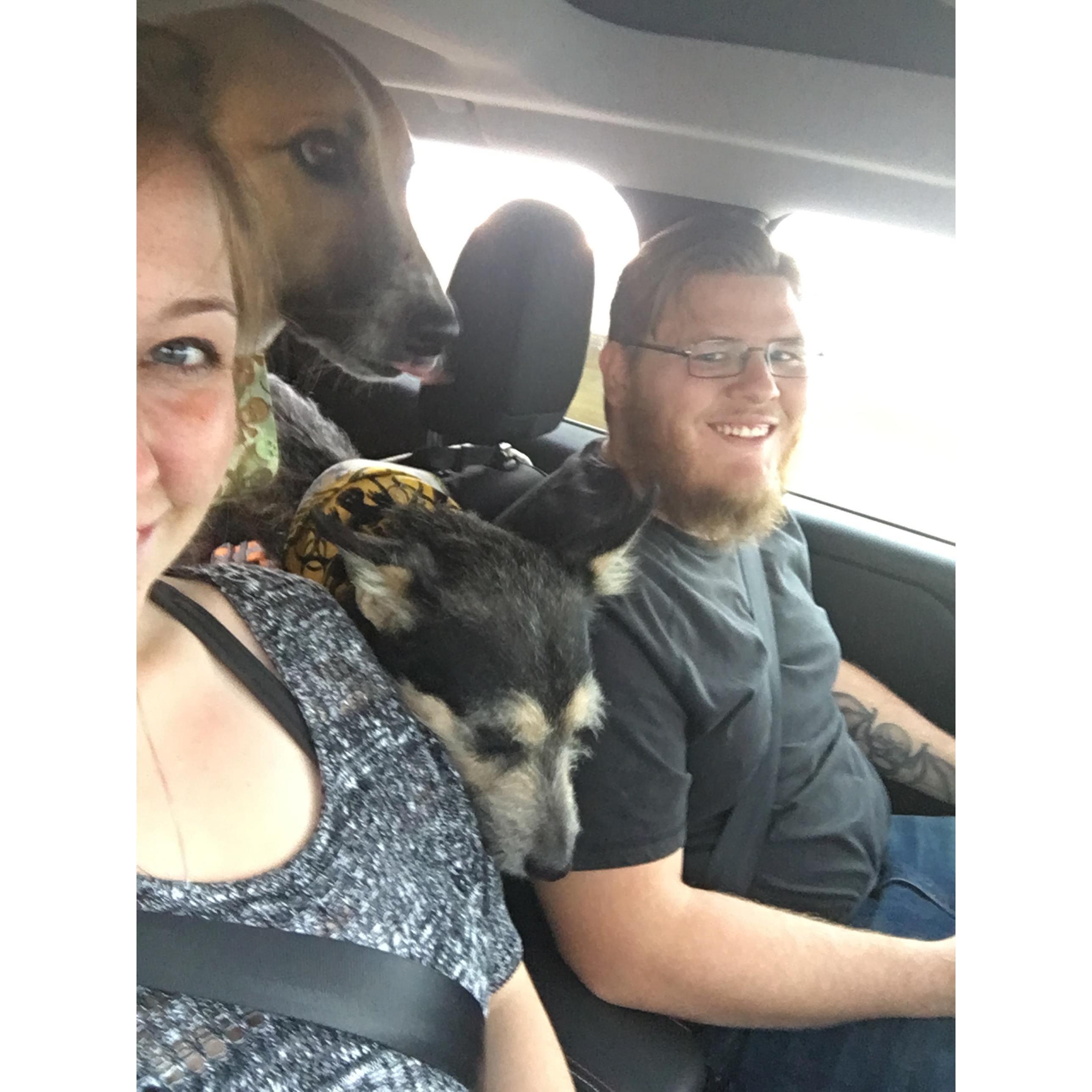 Road trip time! 2015